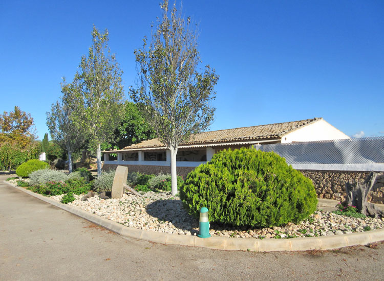 B13
