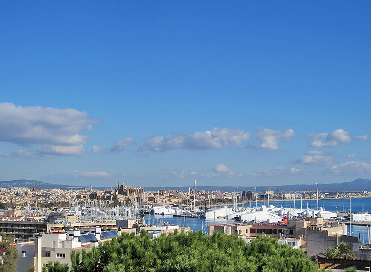 IDT-149-3-historisches Anwesen mit Parkgarten und Meerblick inmitten von Palma