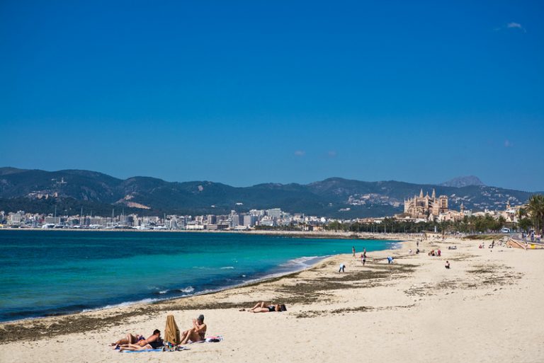 Palma